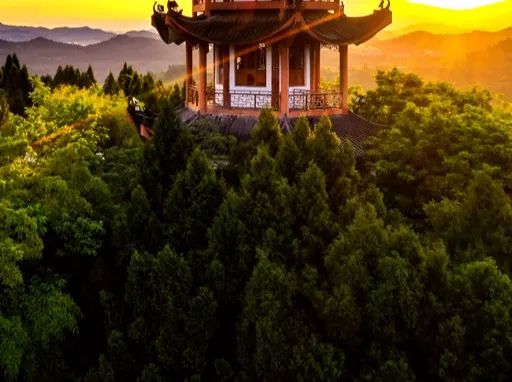 【创建天府旅游名县】这么美的仪陇你见过吗？