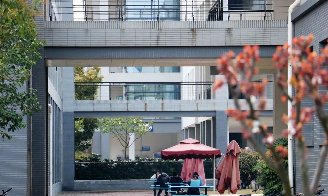 厉害！南京10所高校杀入中国大学百强