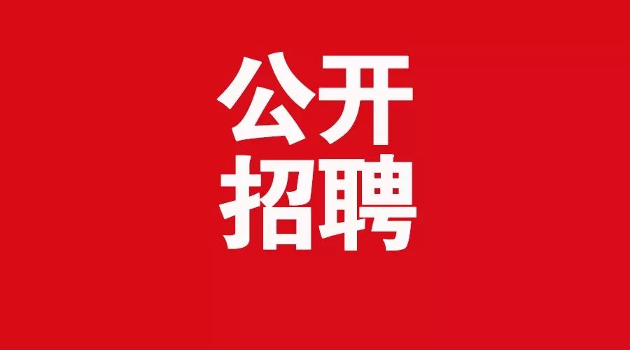 洛阳市孟津县招聘信息（公开招聘）