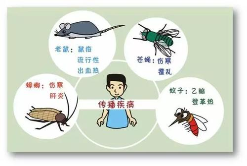 四害现在指的是哪四种（病媒生物防制之除四害）