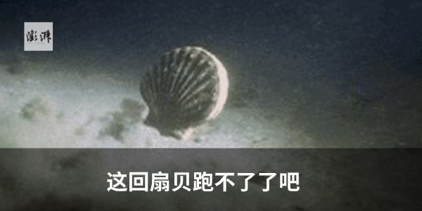 特大暴雨突袭！四川冕宁已有12人遇难