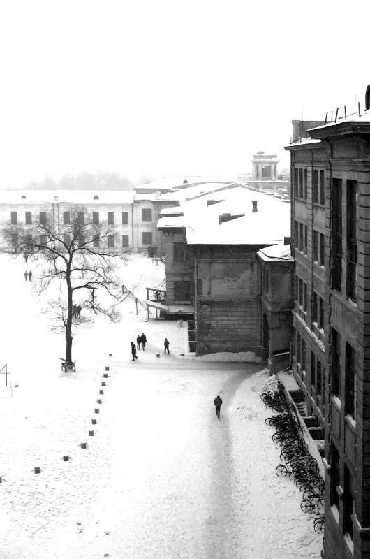 「AT」哈工大宝藏建筑：土木楼的独家“记忆”