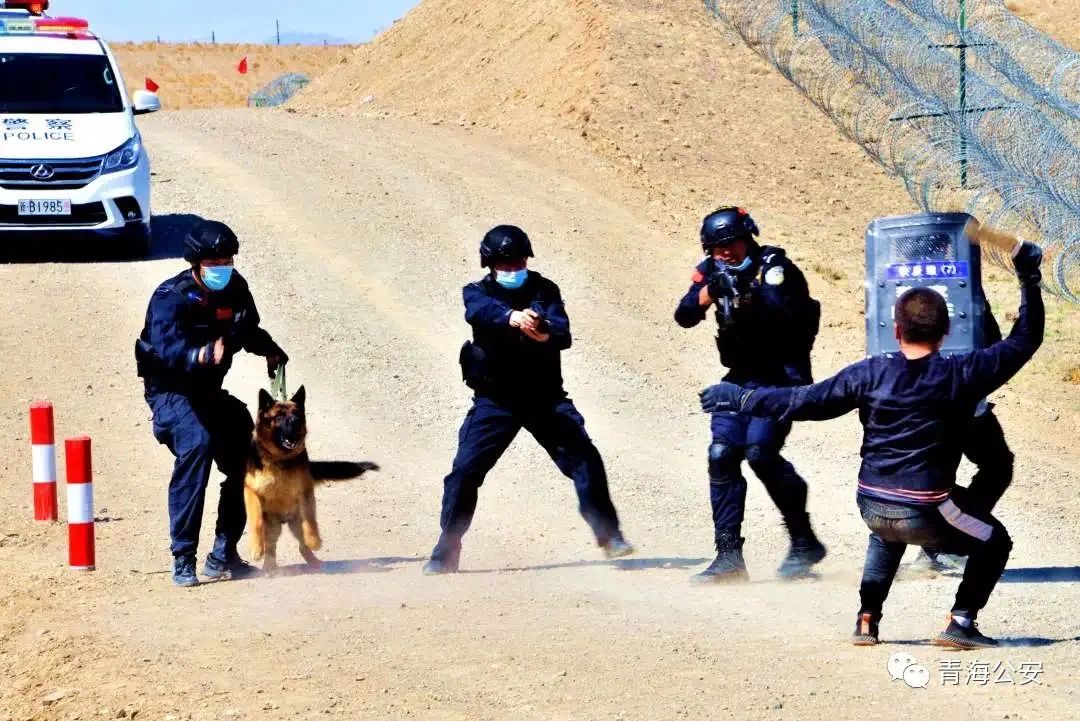 2020年青海警官职业学院公安专业面向青南地区定向招生(录)简章