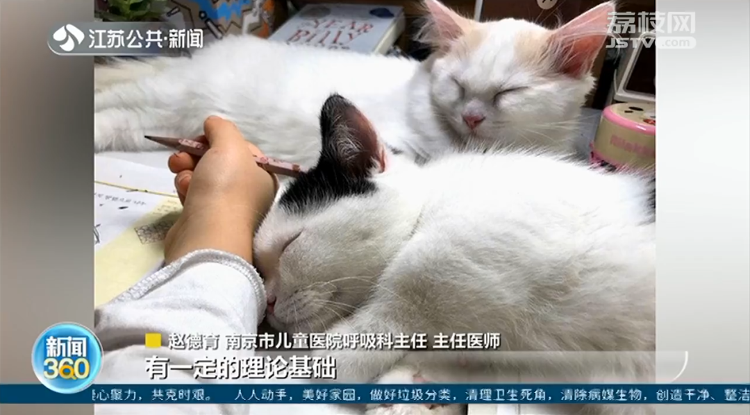 准妈妈爱撸猫撸狗，能预防娃过敏？医生：有一定道理