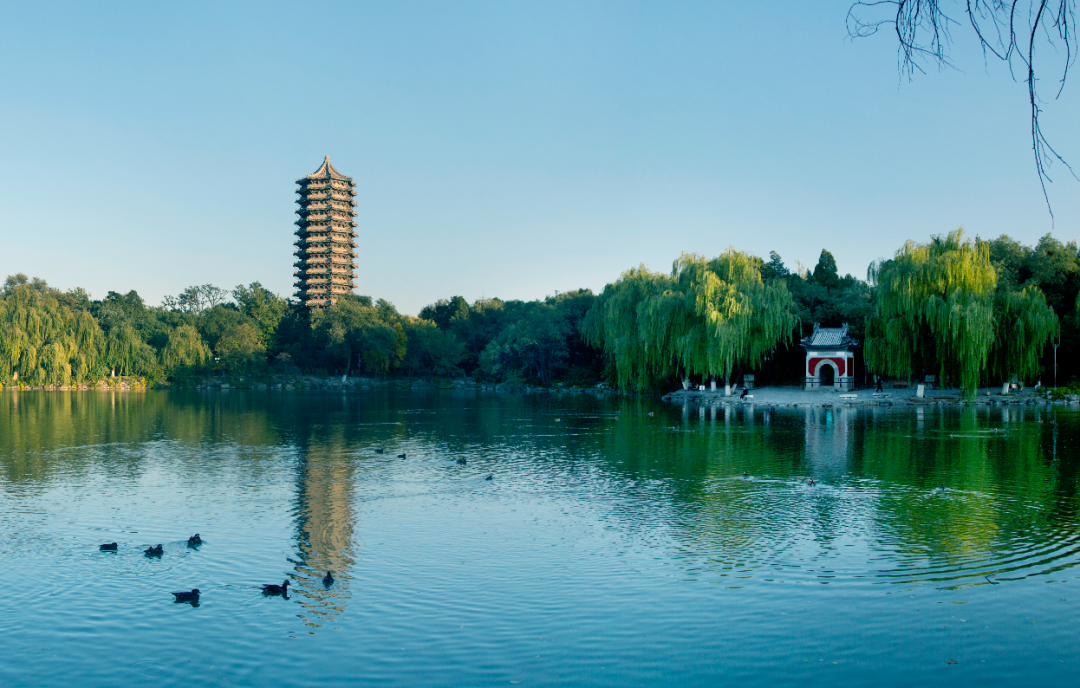 高考收官，多地公布查分时间→