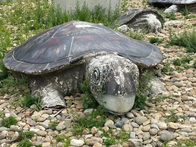 停电信息｜33岁失踪女星确认遇难，死前奋力救出儿子