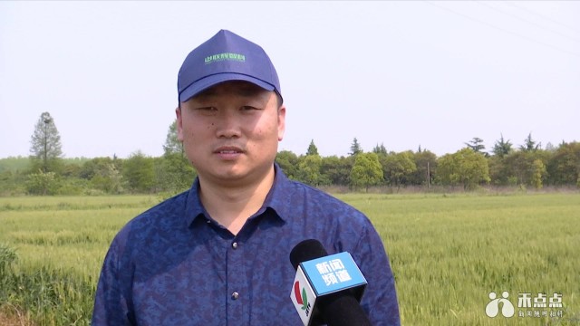 自动驾驶的拖拉机你见过吗？嘉兴农业黑科技，“机器换人”大开眼界