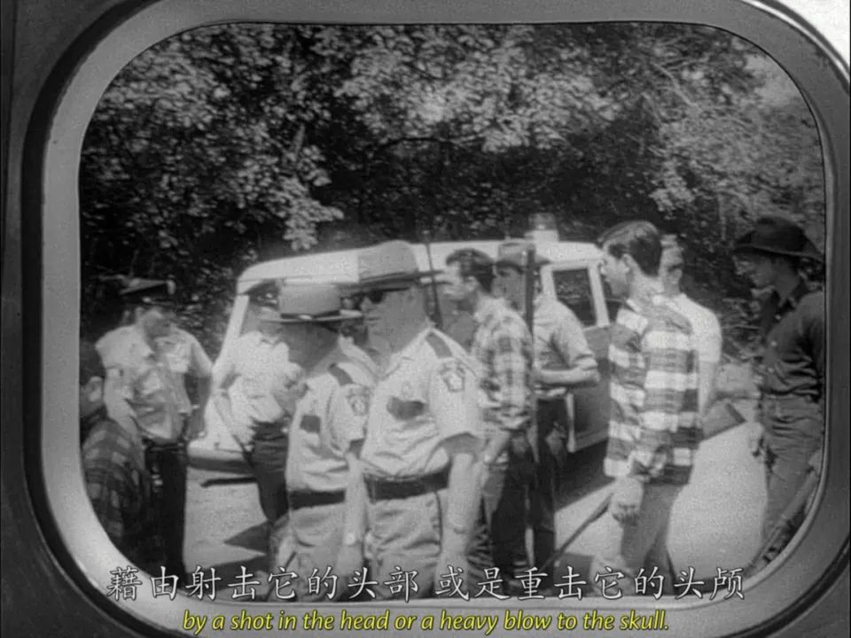 有了那个发明“丧尸”一词的导演，恐怖电影才有了今天的模样
