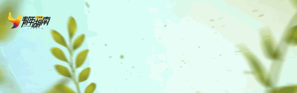 转发速看！湖南高考录取结果可查！