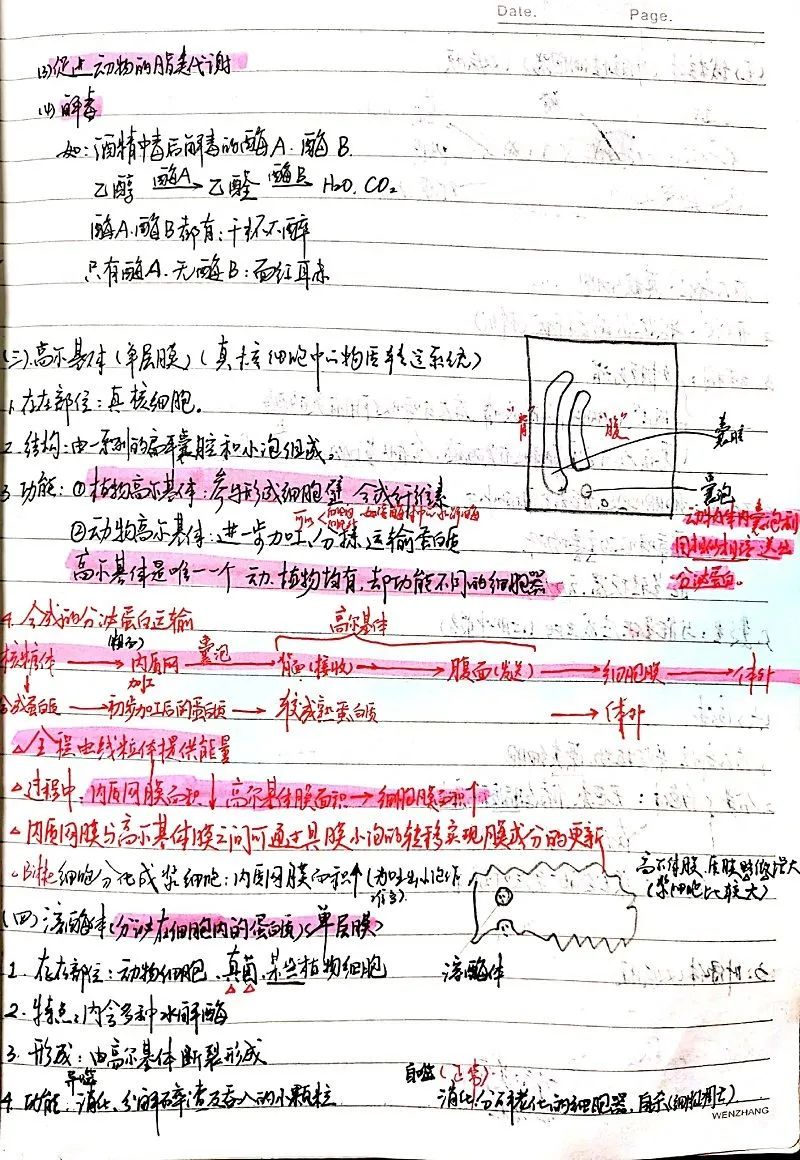 绍兴顶尖学霸晒出“神仙笔记”，终于知道“牛”在哪了？
