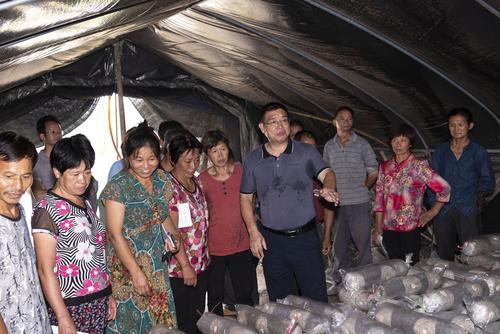 邹新国简历日学生武夷蘑菇农场主三伏天在山村游牧寻梦实录
