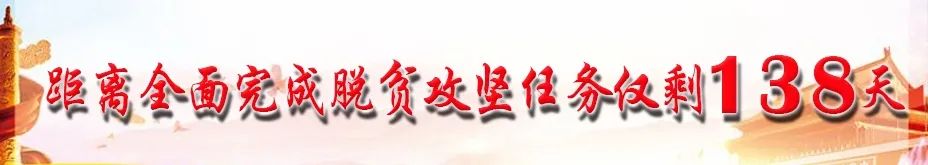 甘肃考生看过来，“陇政通”可以查询高考录取结果了！
