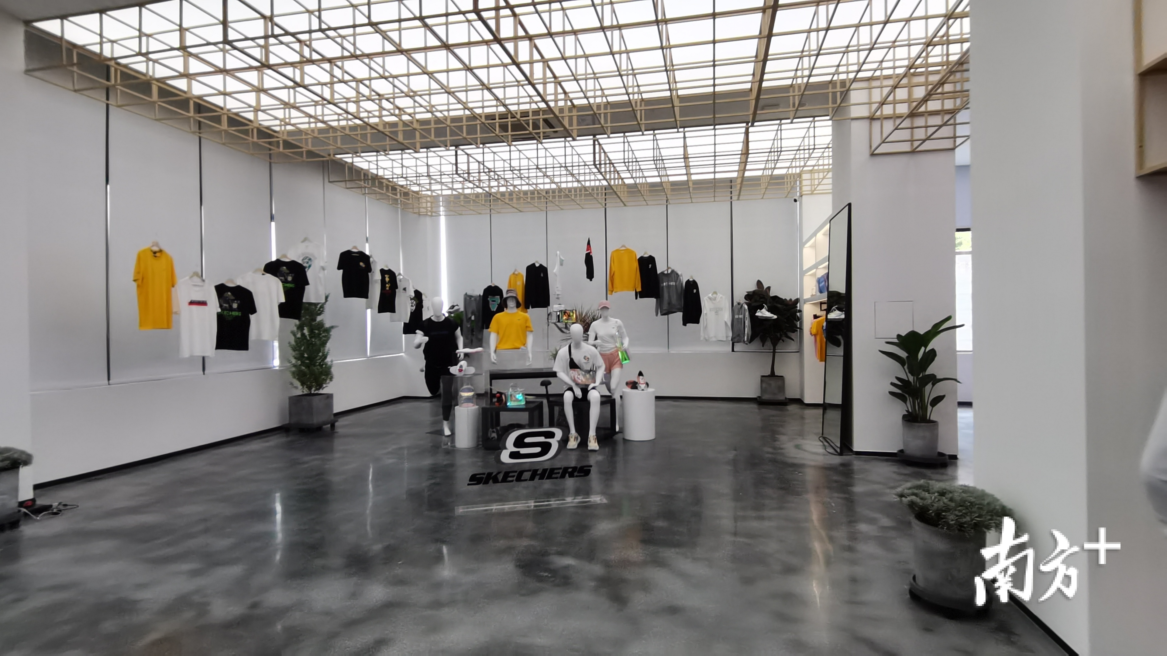 辛选首家直播基地落地白云,郎朗来穗献曲助阵