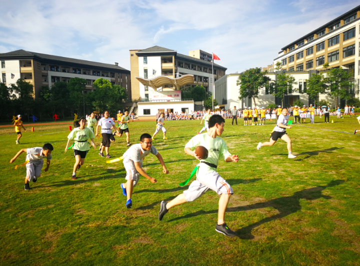西湖区教育局首次设立“杏坛奖”系列奖项，表彰在各阶段深耕西湖教坛的老师们！设计方案正在征集