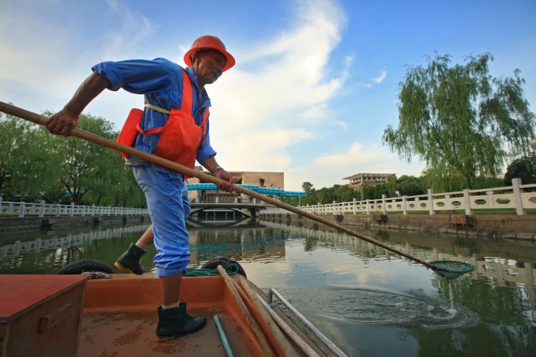 虚拟币绿币(虚拟币绿色是涨还是跌)