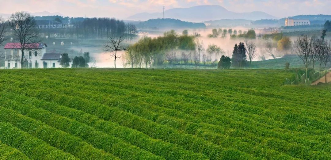 国庆去凤凰沟的十大理由，粉花草地音乐又双叒叕来啦！