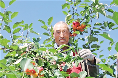 為豐收喝彩，為勞動(dòng)點(diǎn)贊