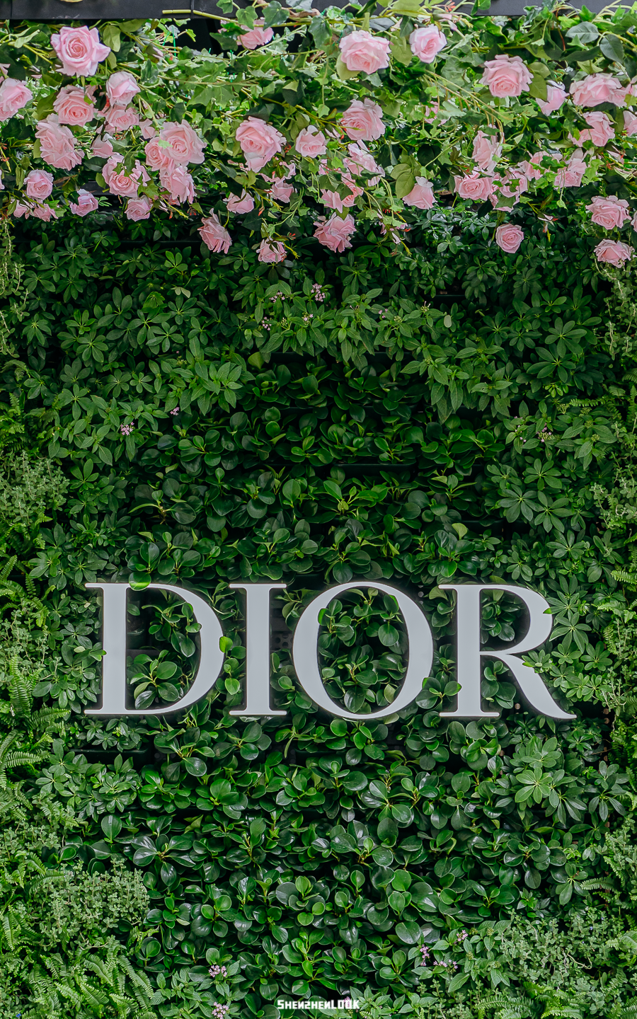 look | dior迪奥「全球旗舰店」· 深圳