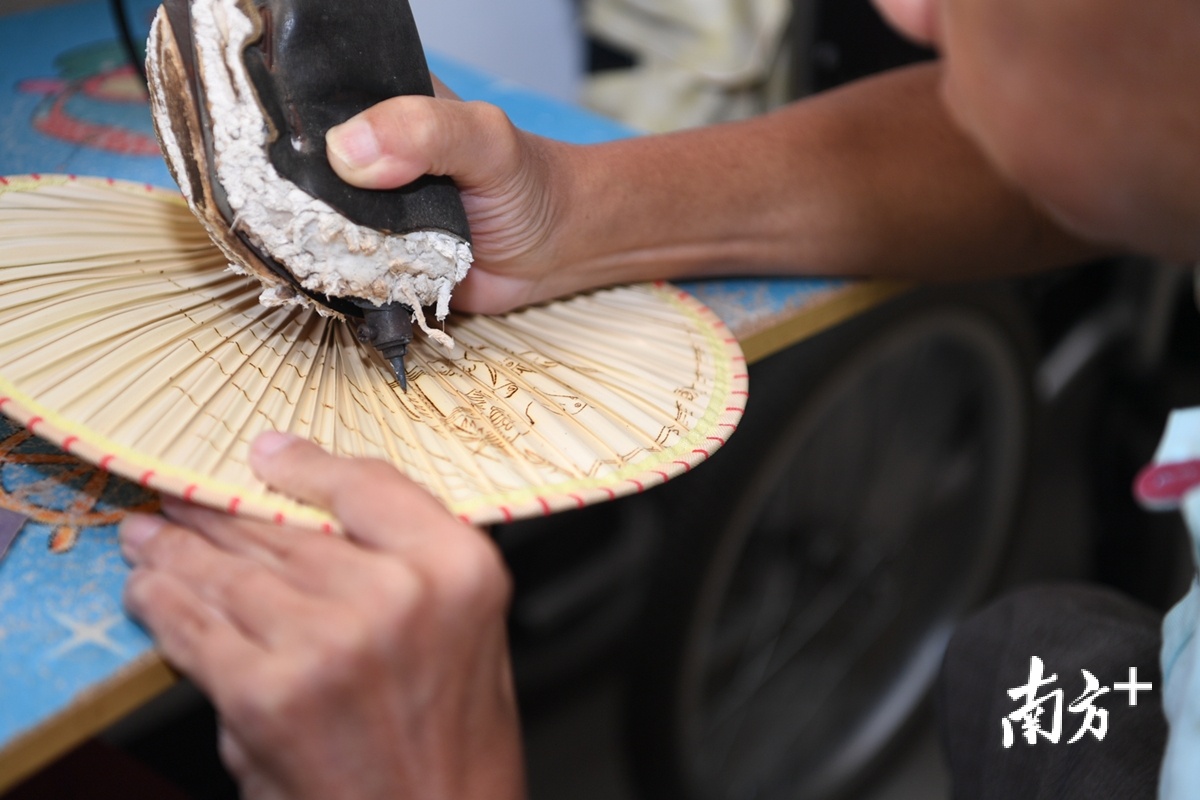 新会葵的故事图片 _飞翔号