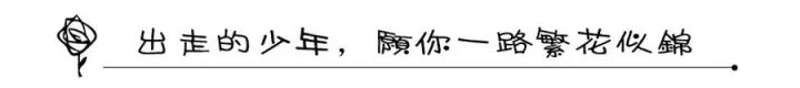 人间四月，繁花似锦如诗画