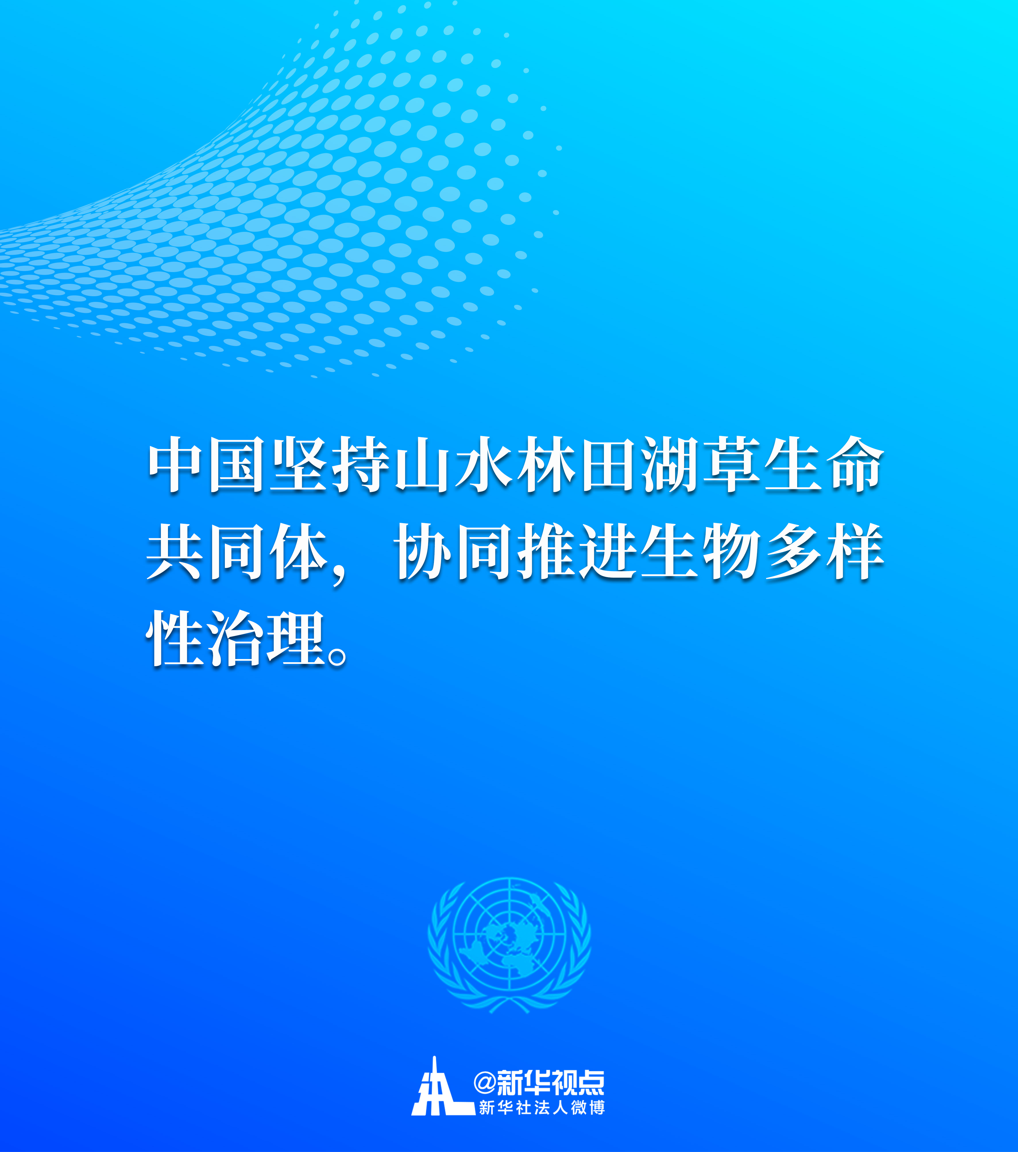 习近平主席在联合国生物多样性峰会重要讲话金句