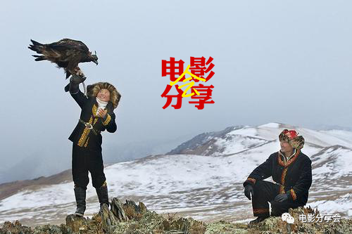 快递：20部新电影大集成