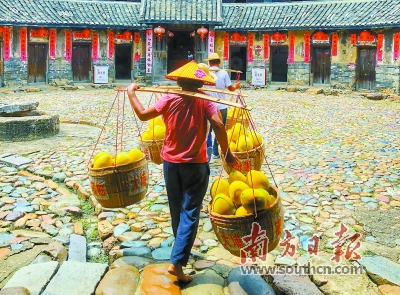 创广东经验 谋“三农”巨变