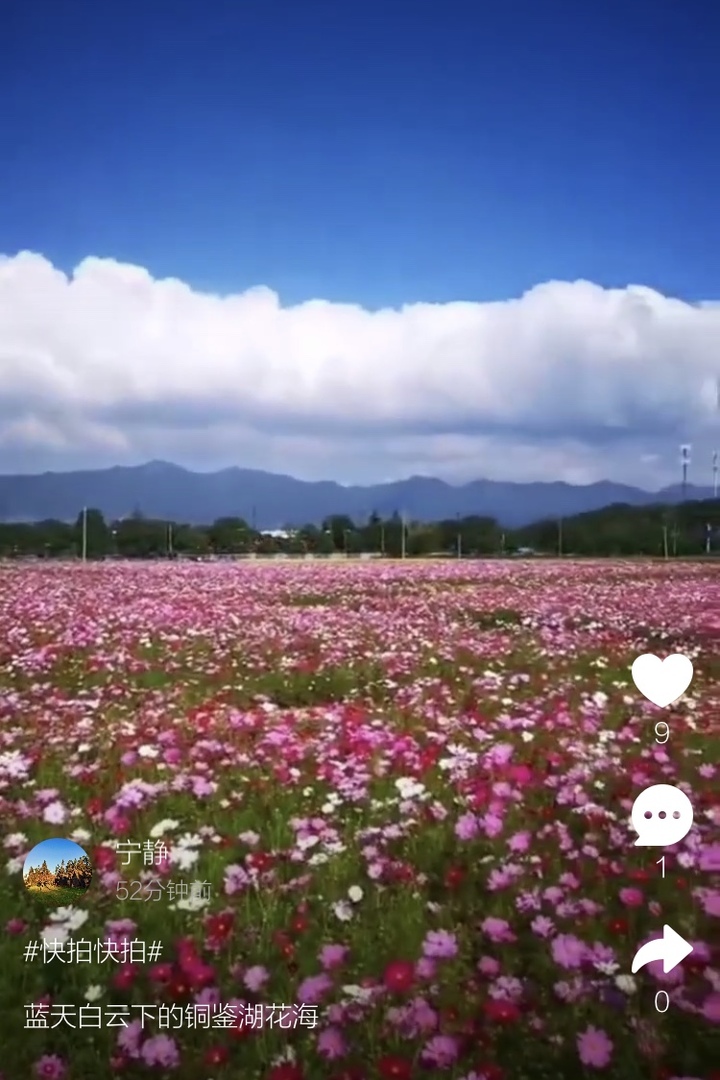 晴天倒计时，被子晒了哇？在杭州弹了30多年棉花的童师傅，这两天又开始忙碌