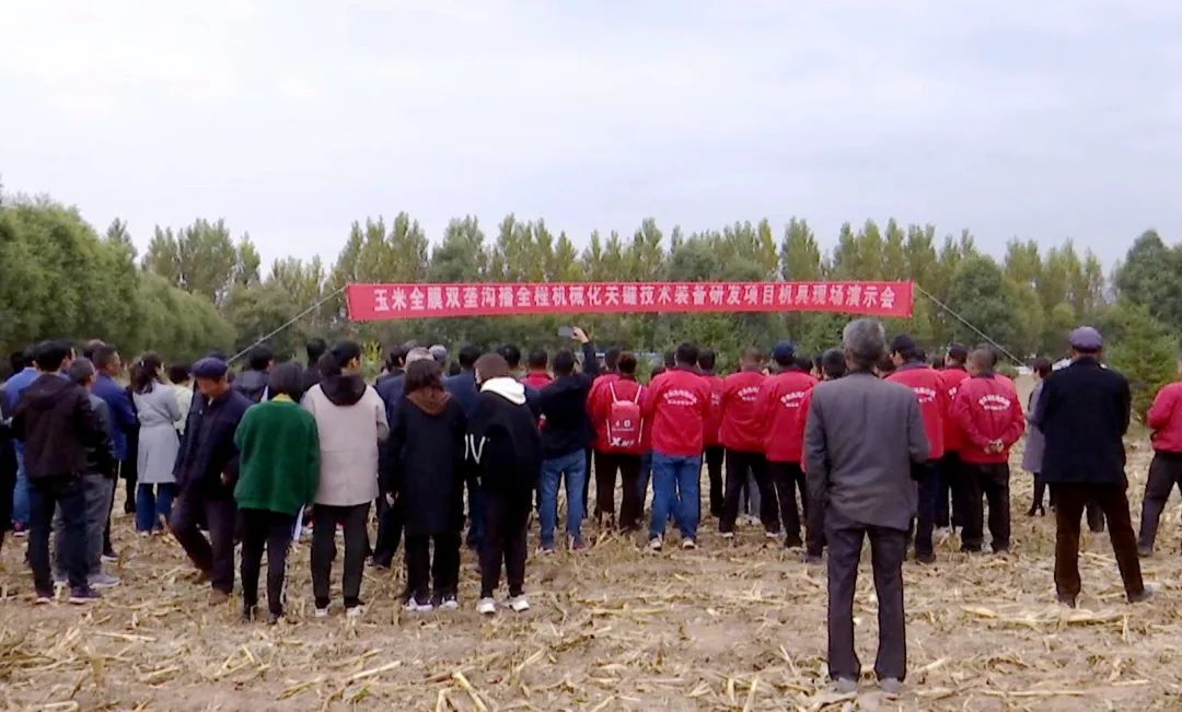 “玉米地”里秀農(nóng)機！為臨洮這場現(xiàn)場演示會點個贊