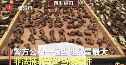 新闻晚报 |钟南山：复方板蓝根对新冠病毒有效；警方：成都大学党委书记毛洪涛溺水身亡