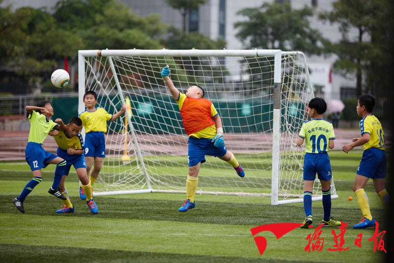 龙海哪里可以看足球比赛地方(龙海市第六届中小学生足球联赛隆重举行)