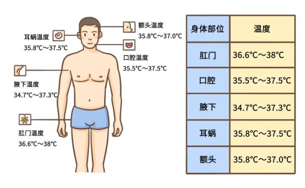 温度计量体温多长时间(体温多高算是发热？关于测量体温，一次讲清楚)