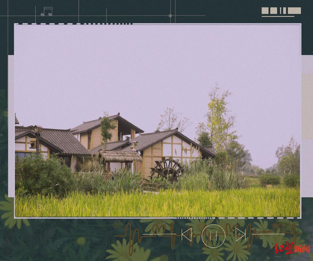 红星观察｜“锋味”、“姐姐”……为何热门综艺爱来成都拍？