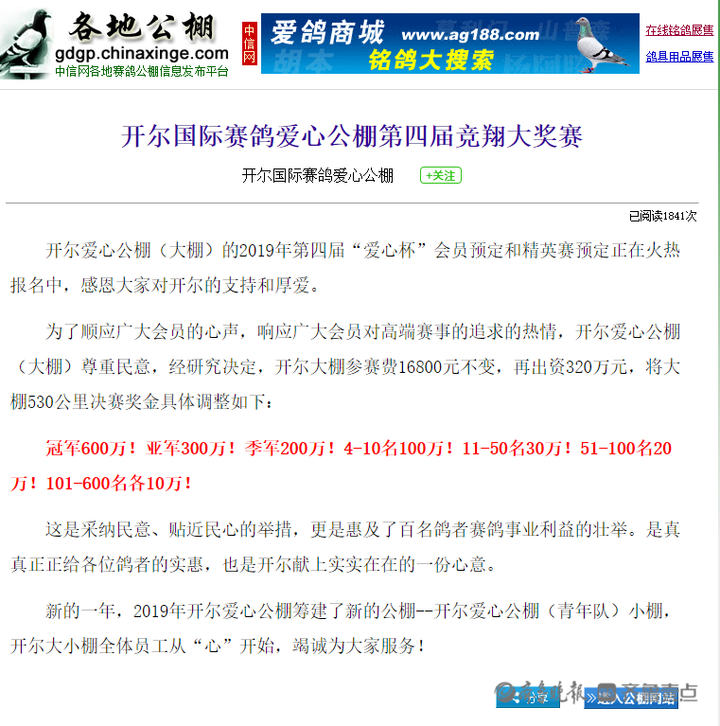 为什么取消赛鸽世界杯(1250万买一只赛鸽，是人傻钱多吗？“赛鸽圈”不得不说的秘密)