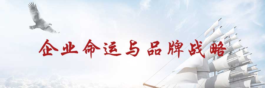 品牌战略定位决定企业命运的关键因素
