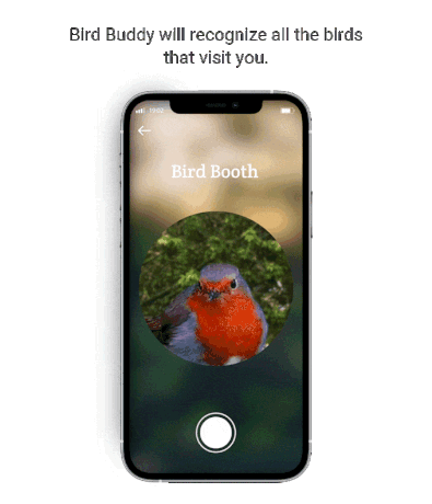 Bird Buddy智能喂鸟器：将鸟类自拍变成可收藏的游戏和保护工具