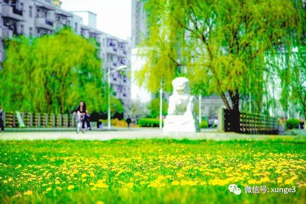 燕山大学校园网自助（举一省之力）