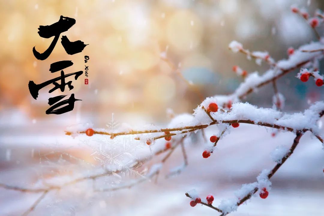 【春城秀】大雪节令至，轿子雪山看雪忙~