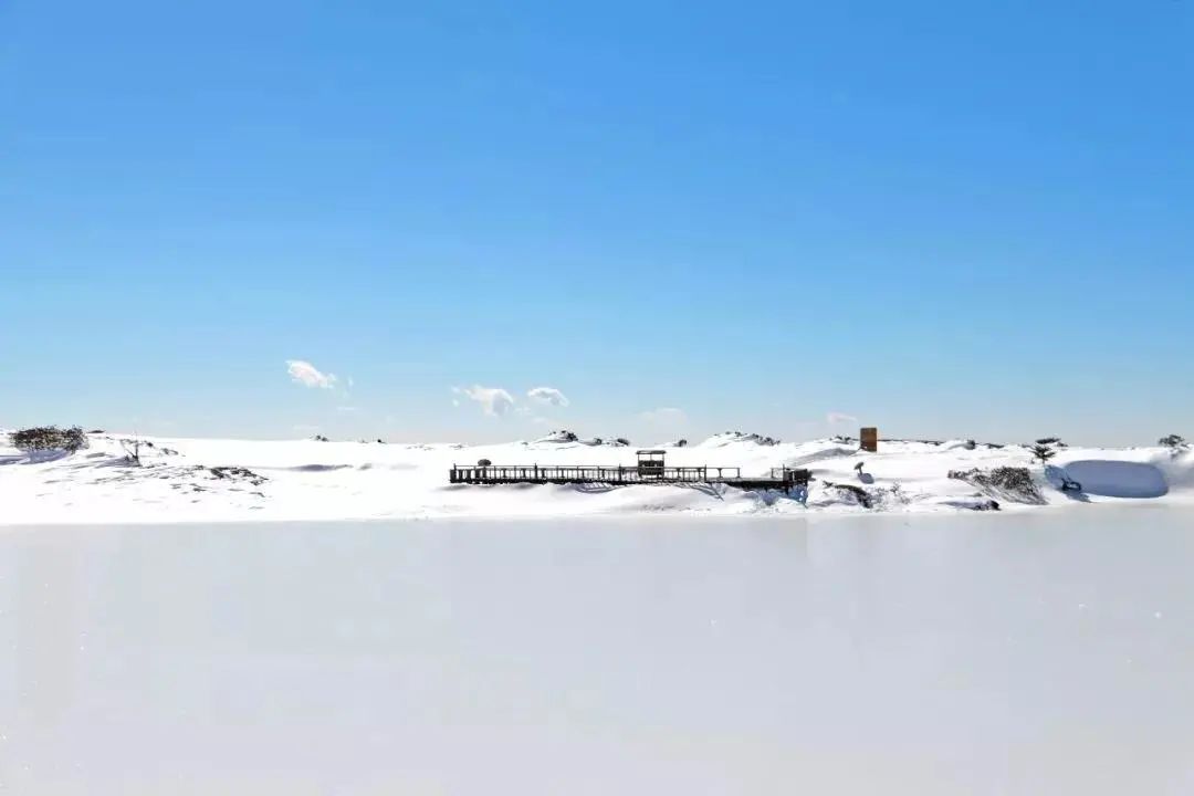 【春城秀】大雪节令至，轿子雪山看雪忙~