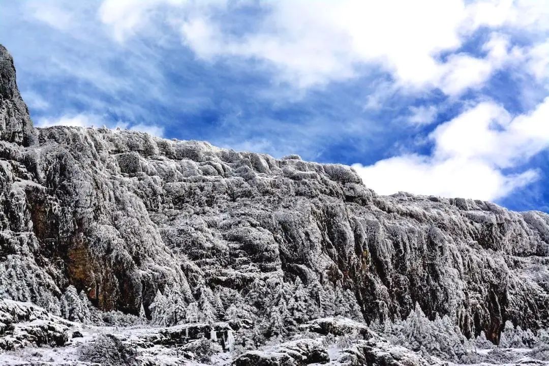 【春城秀】大雪节令至，轿子雪山看雪忙~