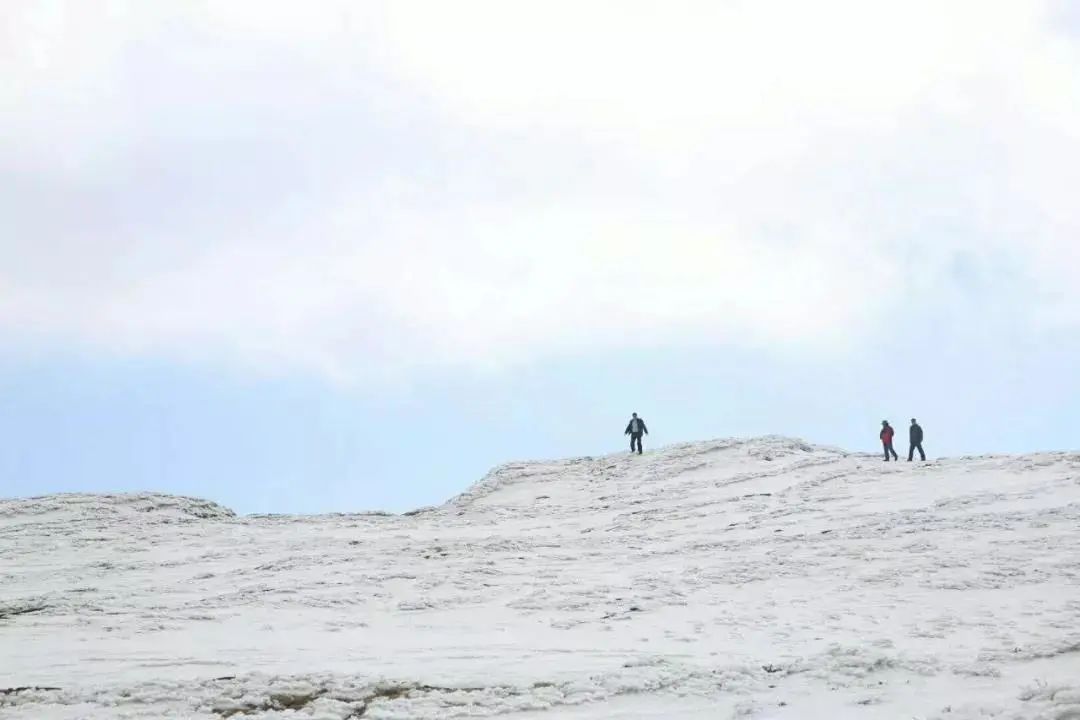 【春城秀】大雪节令至，轿子雪山看雪忙~