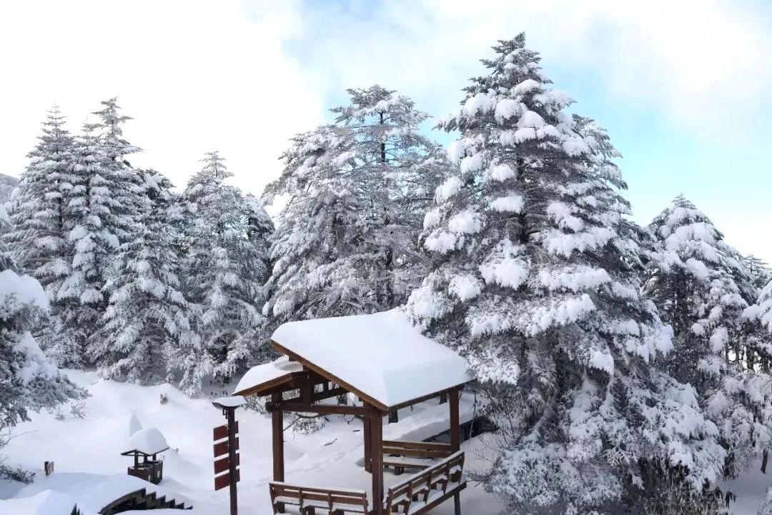 【春城秀】大雪节令至，轿子雪山看雪忙~