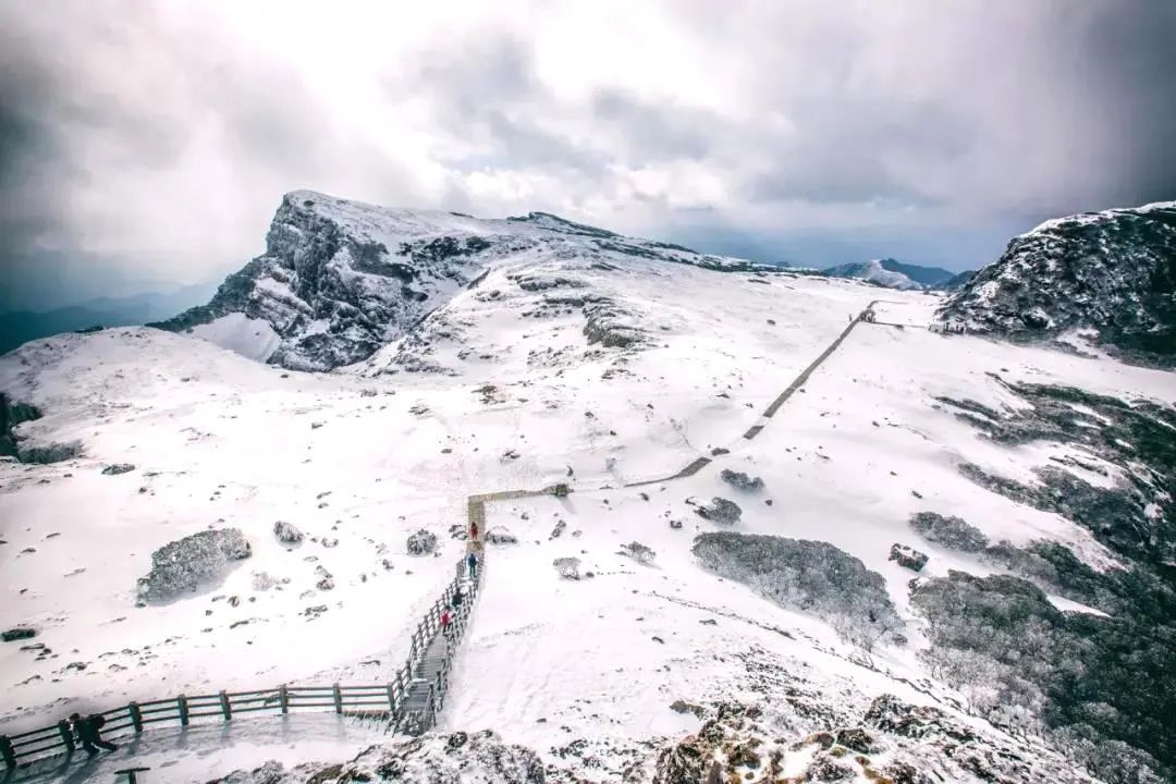 【春城秀】大雪节令至，轿子雪山看雪忙~