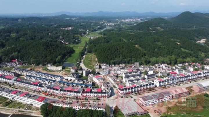 牛！商城一个“倒插门”咋引来仨“金龟婿”？