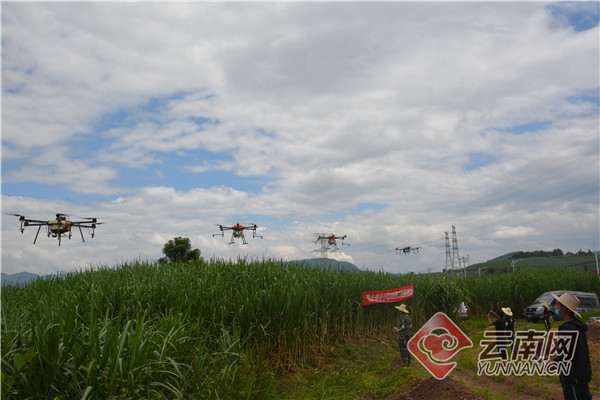 云南鎮(zhèn)康縣引進(jìn)甘蔗收割機(jī)推動(dòng)“甜蜜事業(yè)”機(jī)械化