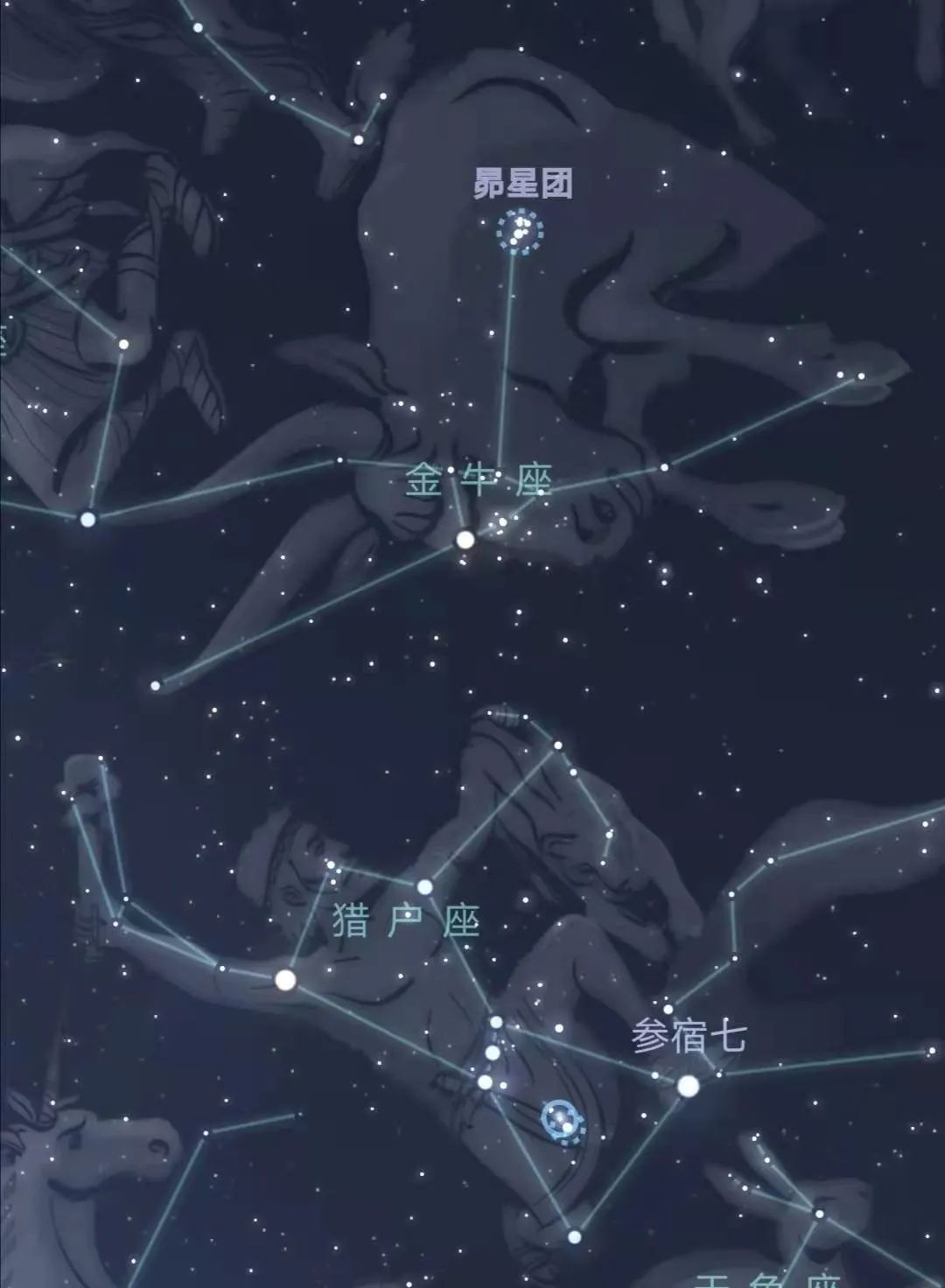 金牛座眨眨眼,陪你一起迎接牛年