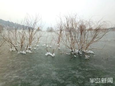 16℃!阵风10级!青岛再迎霸王级降温
