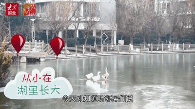 16℃!阵风10级!青岛再迎霸王级降温
