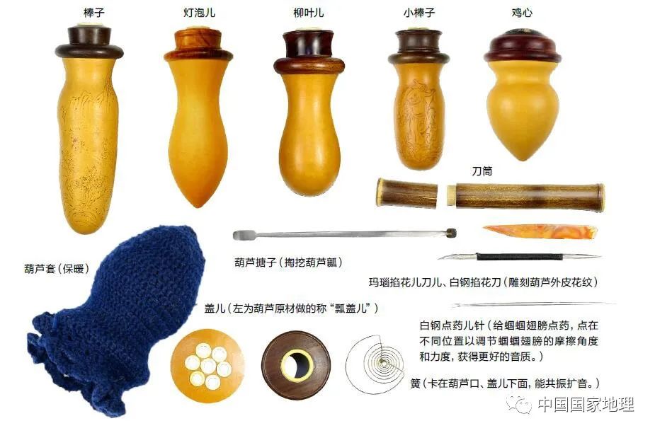 冷冷冷冷,除了钻被窝还能怎么过冬?