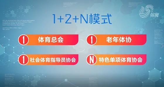 山东体育(山东体育“十三五”回眸——社会组织，为全民健身注入活力和动力)